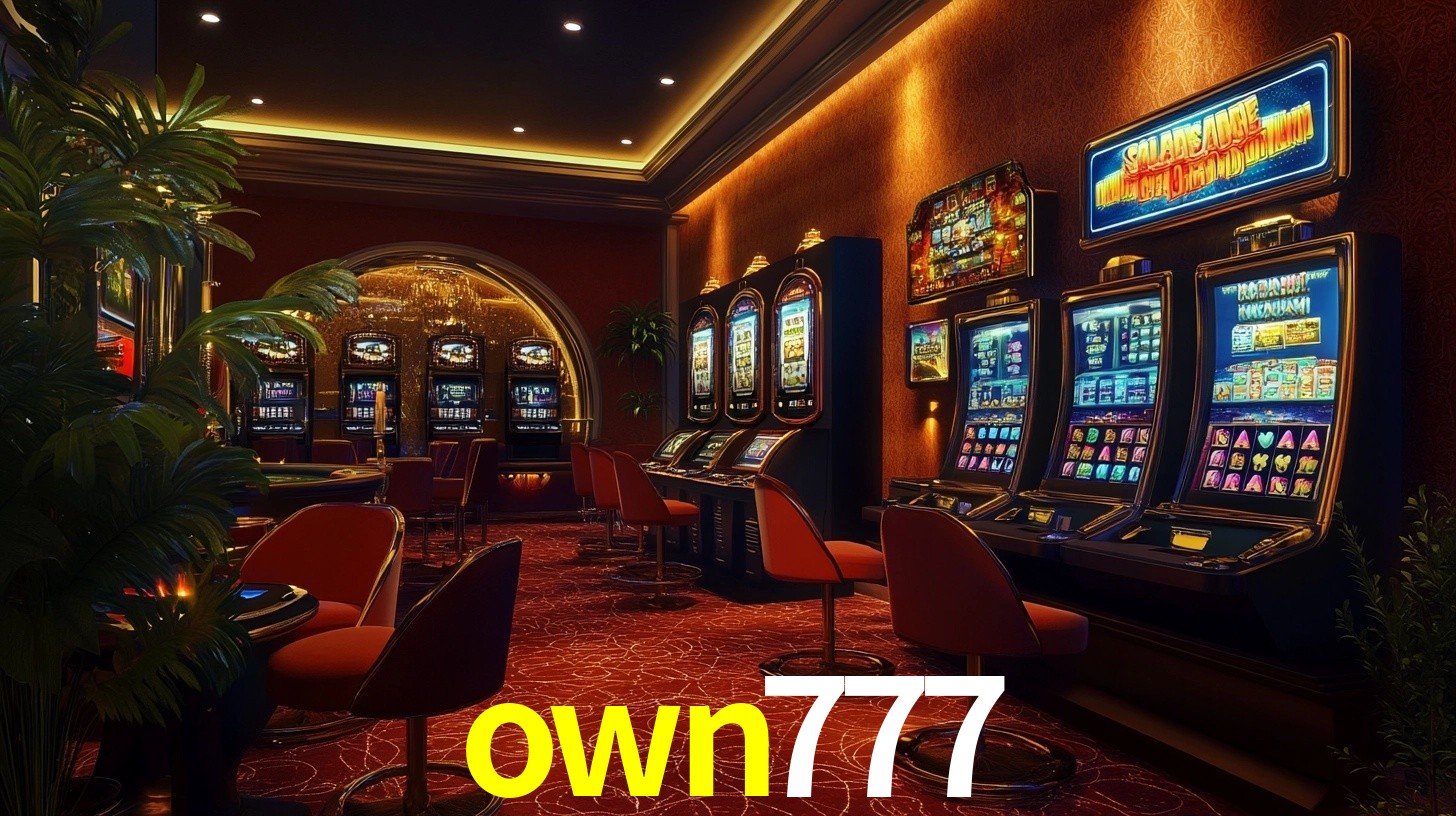 own777 App Interface